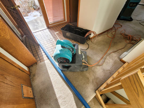 Best Flood damage cleanup  in Orange, TX