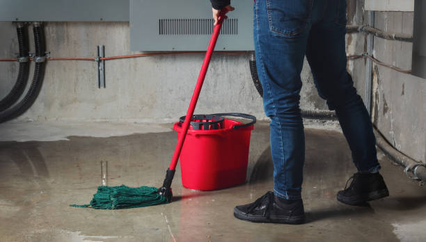 Best Basement water damage restoration  in Orange, TX