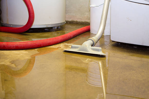 Best Professional water damage repair  in Orange, TX