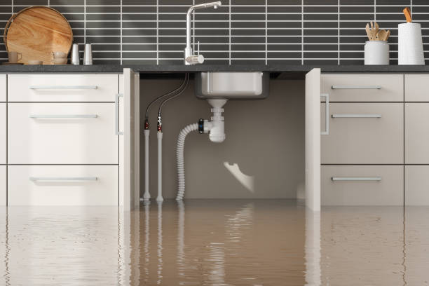 Best Water damage restoration near me  in Orange, TX