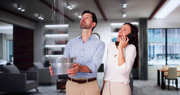 Best Basement water damage restoration  in Orange, TX